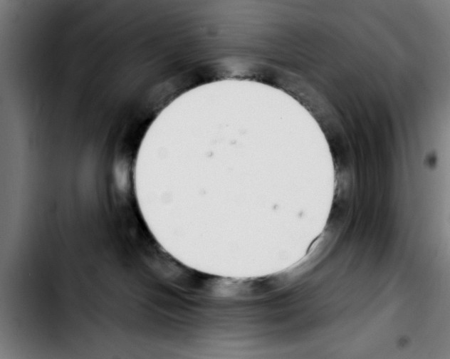 X0000103400094200810241021