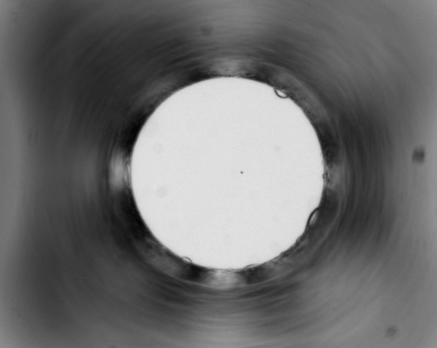 X0000103400095200810241021