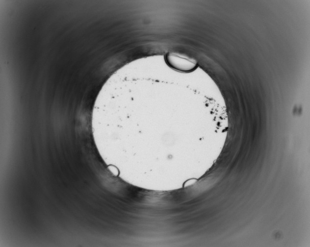 X0000103400096200810241021