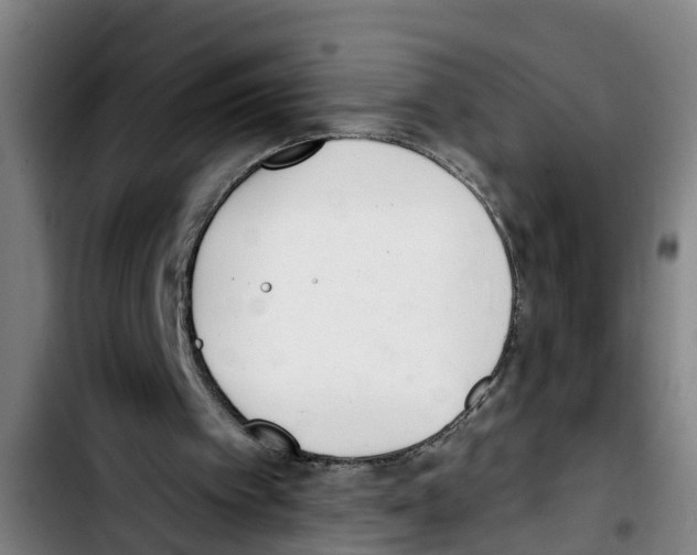 X0000103400097200810241020