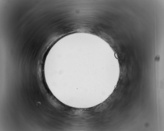 X0000103400098200810241020