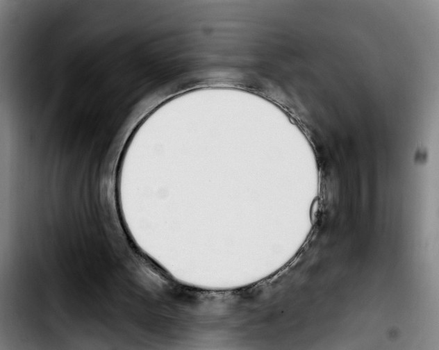 X0000103400099200810241020