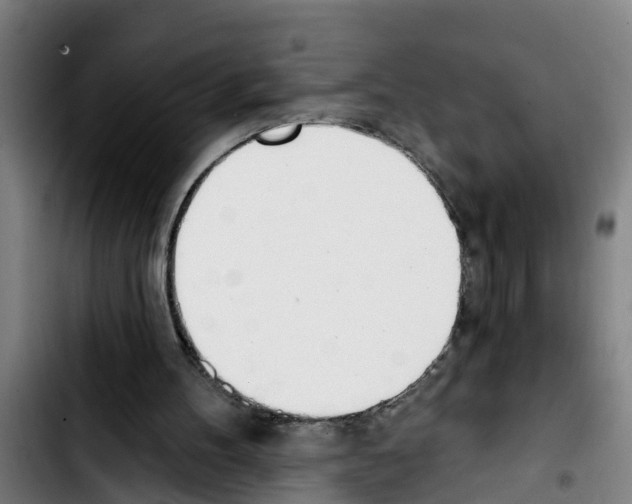 X0000103400100200810241020