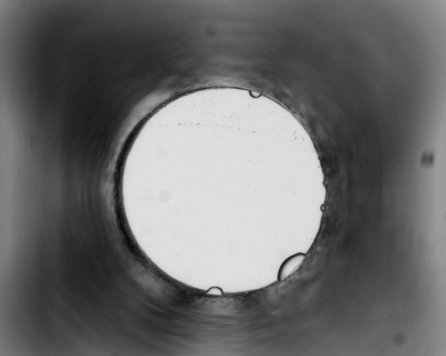 X0000103400104200810241020