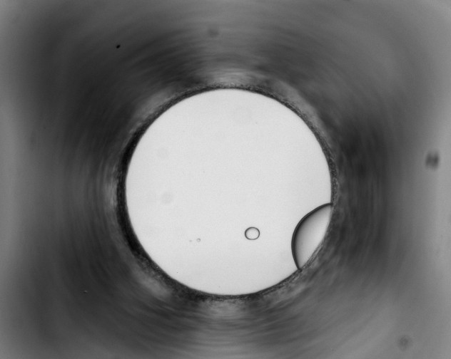 X0000103400106200810241020