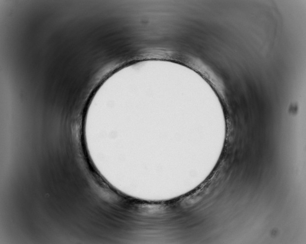 X0000103400107200810241020