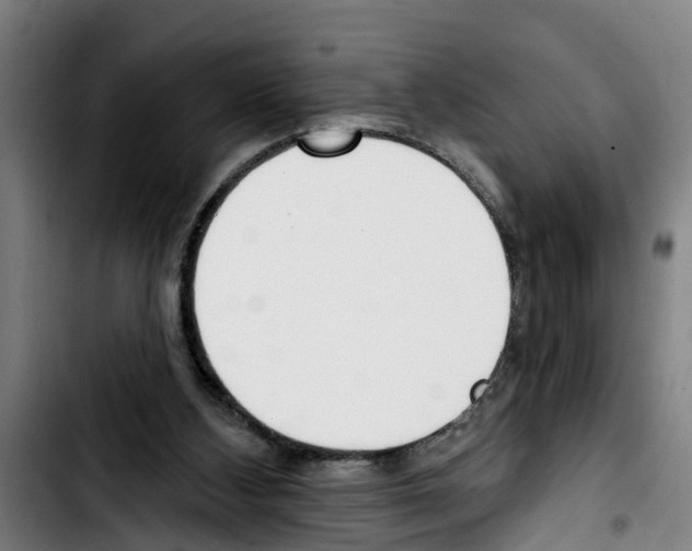 X0000103400108200810241020