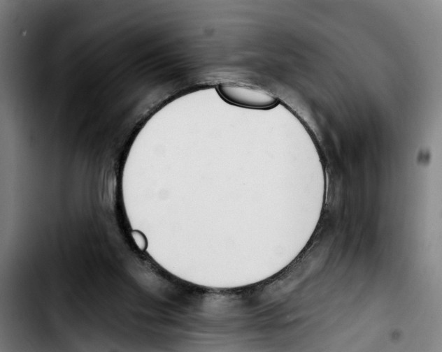 X0000103400109200810241020