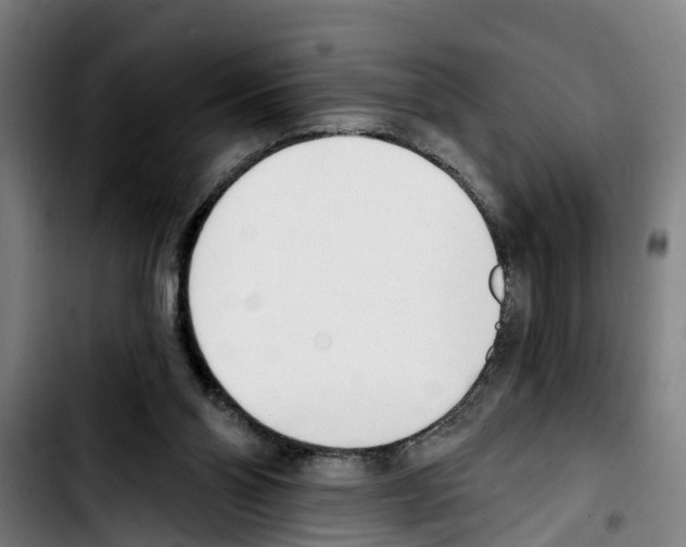 X0000103400110200810241020