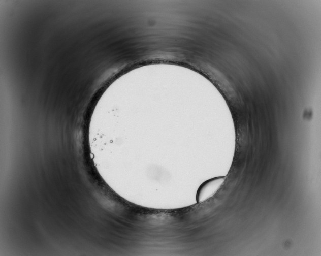 X0000103400112200810241020