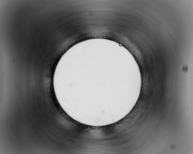 X0000103400113200810241020