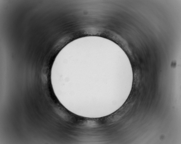 X0000103400114200810241020