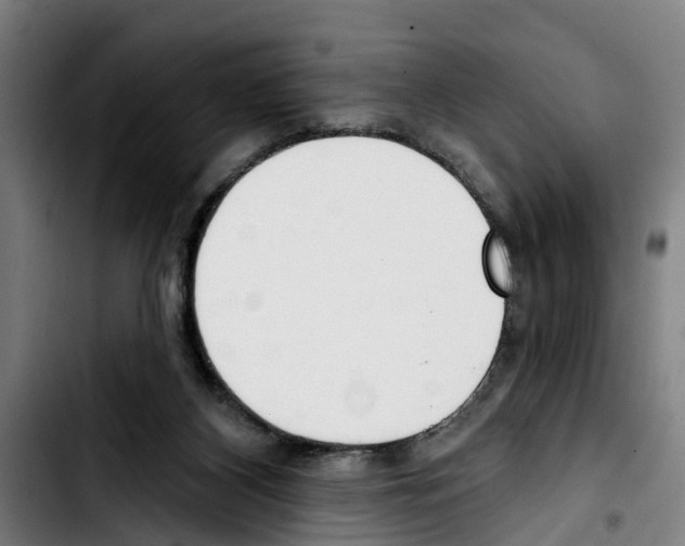 X0000103400116200810241020