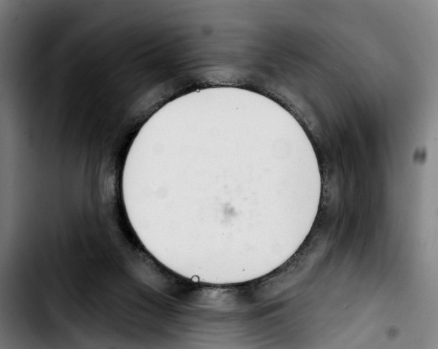 X0000103400117200810241020