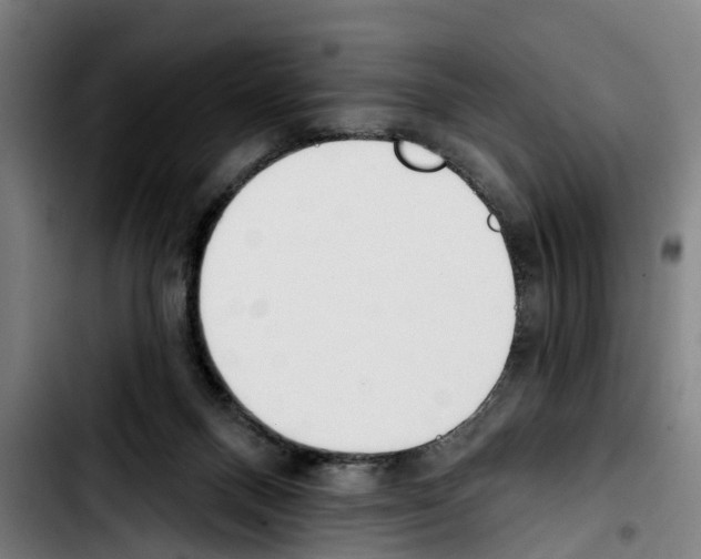 X0000103400120200810241020