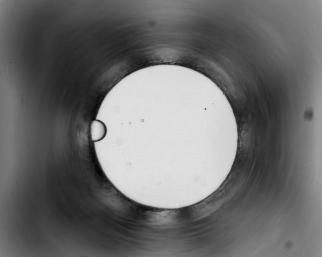 X0000103400122200810241020