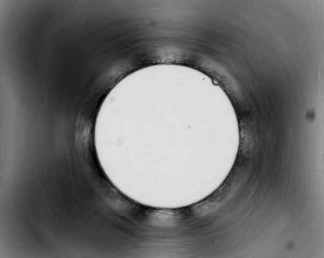 X0000103400123200810241020