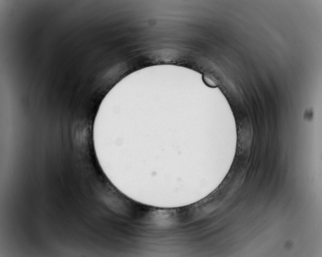 X0000103400126200810241019