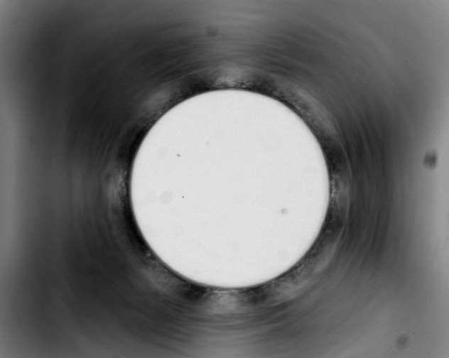 X0000103400127200810241019