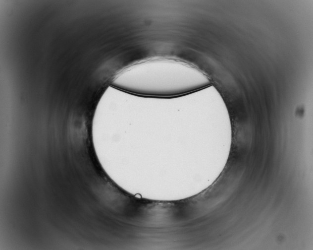 X0000103400128200810241019