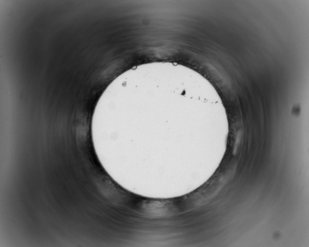 X0000103400129200810241019