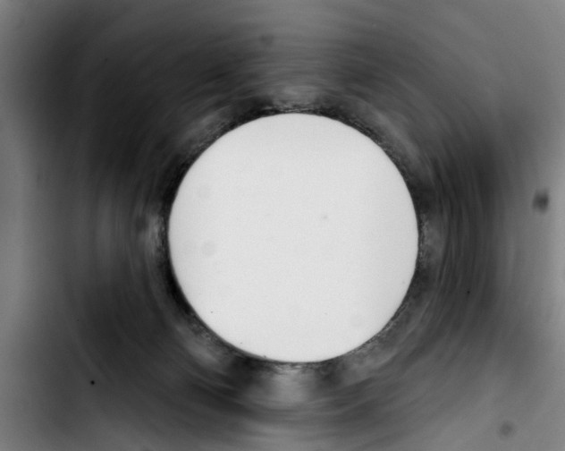 X0000103400130200810241019