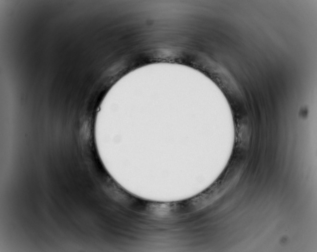 X0000103400131200810241019