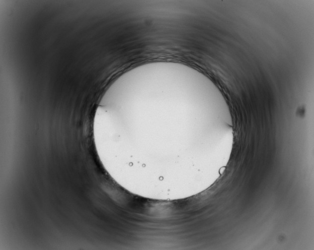 X0000103400132200810241019