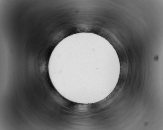 X0000103400134200810241019