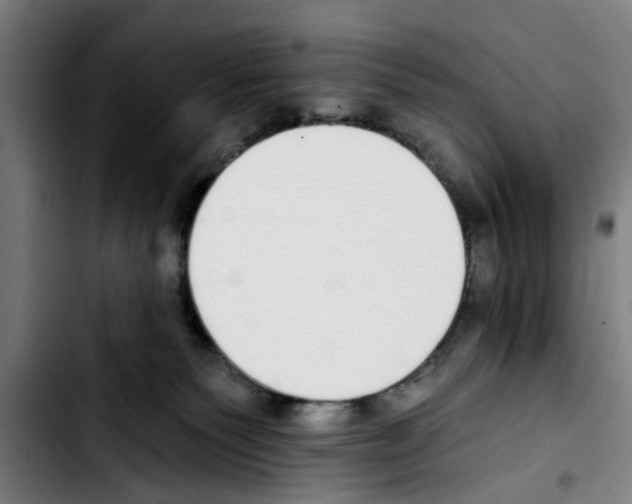 X0000103400135200810241019