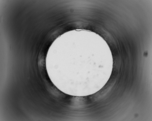 X0000103400137200810241019