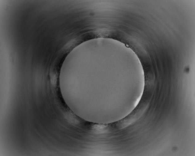 X0000103400139200810241019