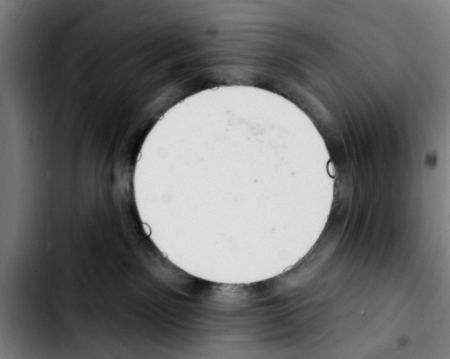 X0000103400141200810241019