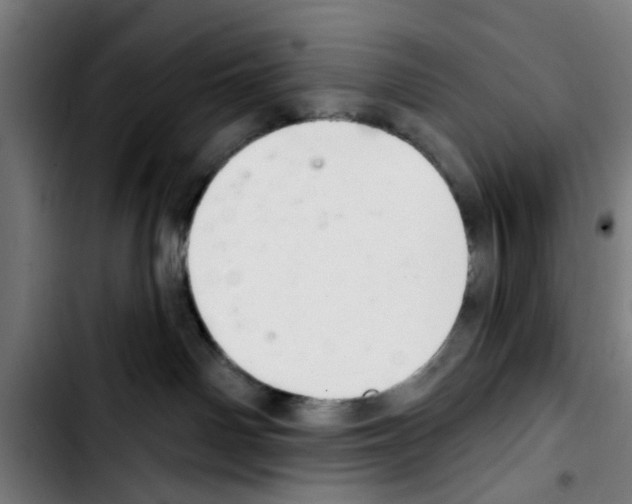 X0000103400142200810241019