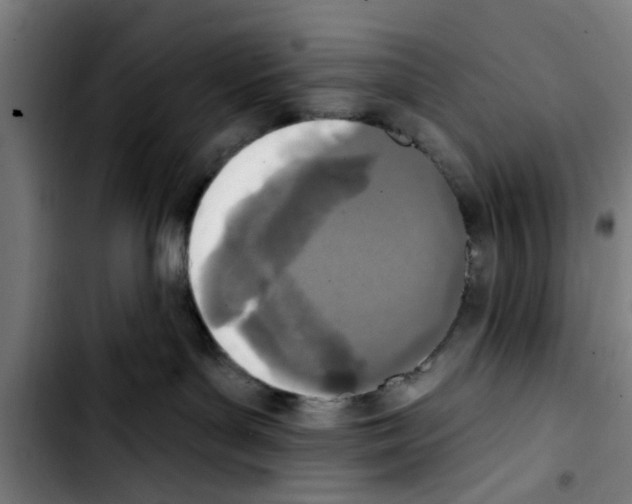 X0000103400143200810241019