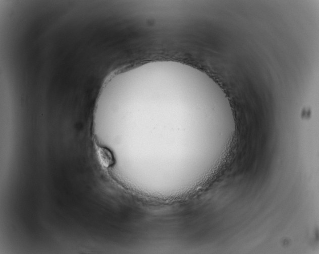 X0000103400144200810241019