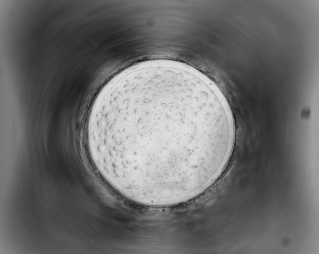 X0000103400145200810241019