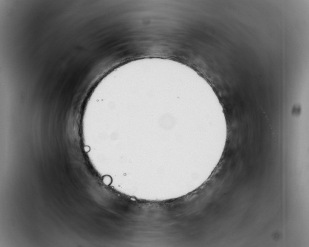 X0000103400146200810241019