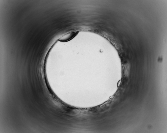 X0000103400147200810241019