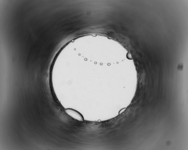 X0000103400148200810241019