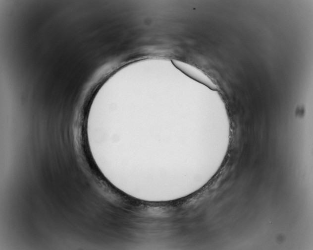 X0000103400149200810241019