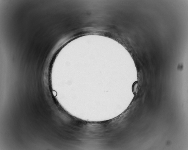 X0000103400150200810241019