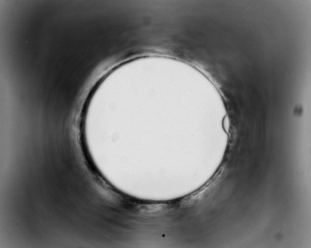 X0000103400151200810241019