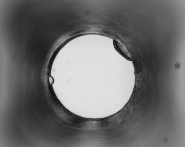 X0000103400152200810241019