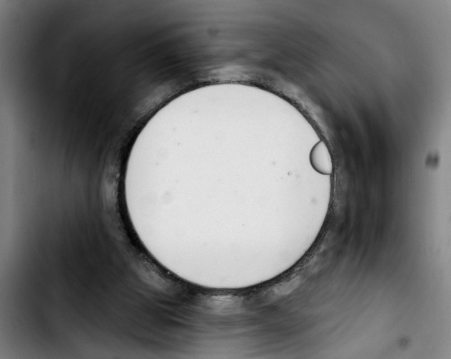 X0000103400153200810241019