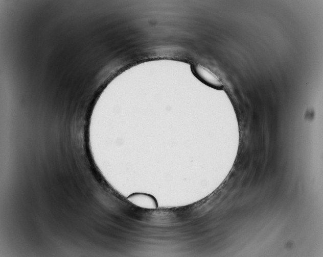 X0000103400154200810241019