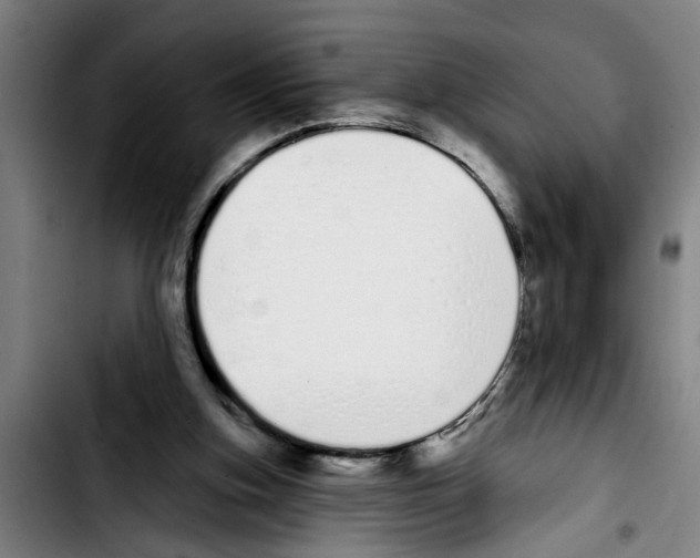 X0000103400155200810241019