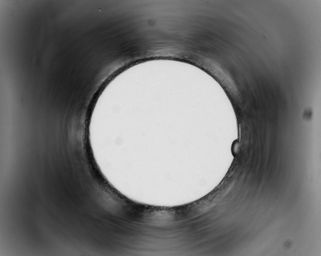 X0000103400156200810241019