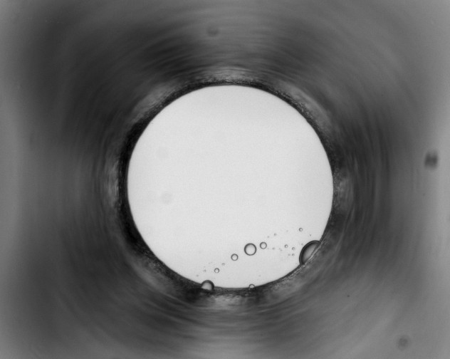 X0000103400158200810241019