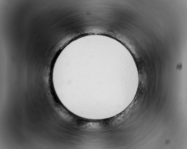 X0000103400159200810241019